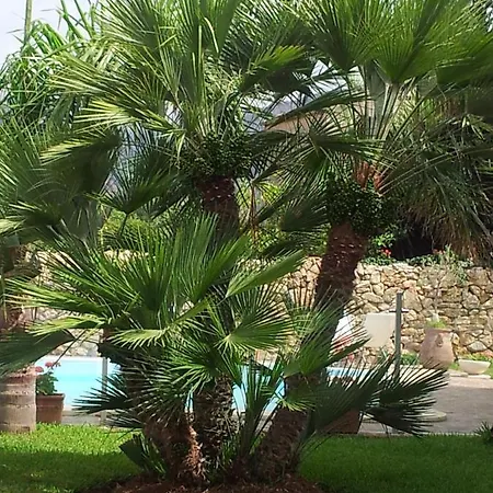 Manzella Piscina Privata * Cinisi
