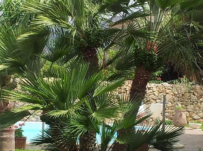Manzella Piscina Privata * Чинизи